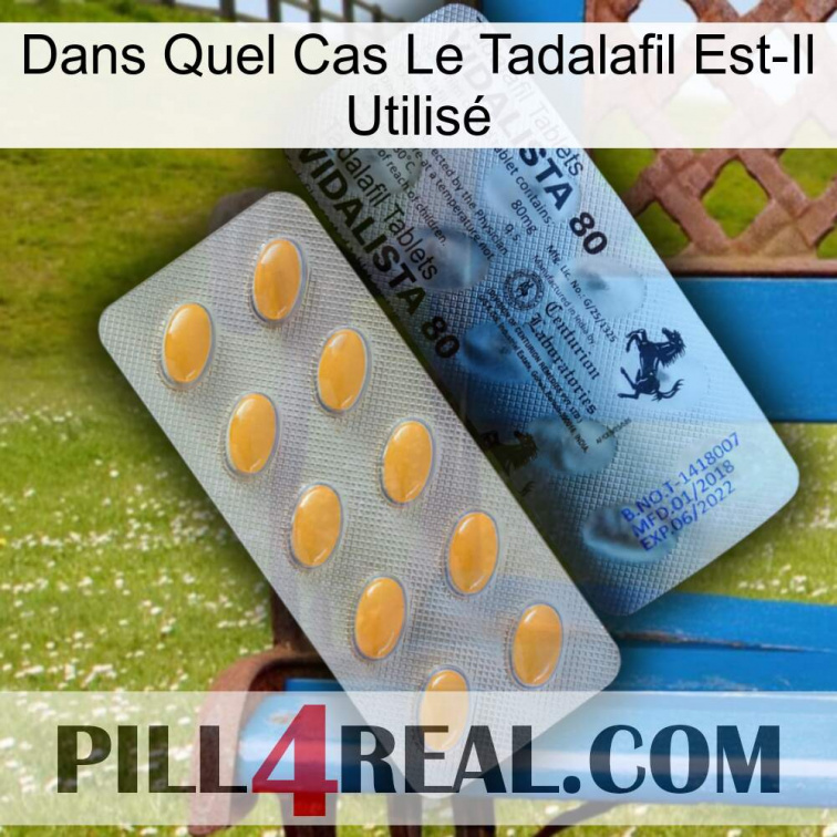 Dans Quel Cas Le Tadalafil Est-Il Utilisé 44